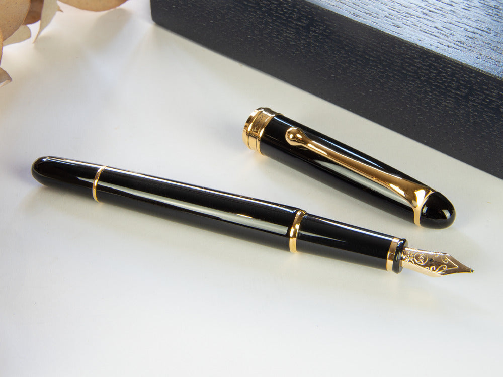Aurora 88 Small Fountain Pen, Resin, Gold plated, 810