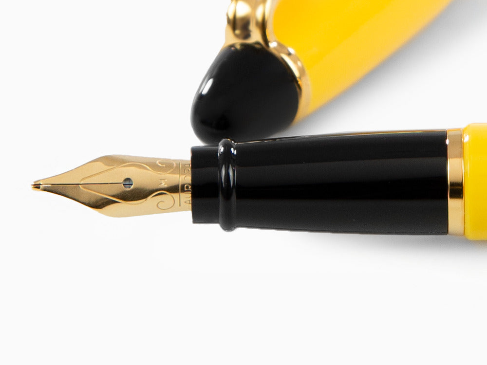 Aurora Ipsilon Fountain Pen, Resin, Gold trim, b11y