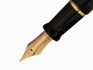 Aurora Talentum Big Fountain Pen, Resin, Gold trim, D12N