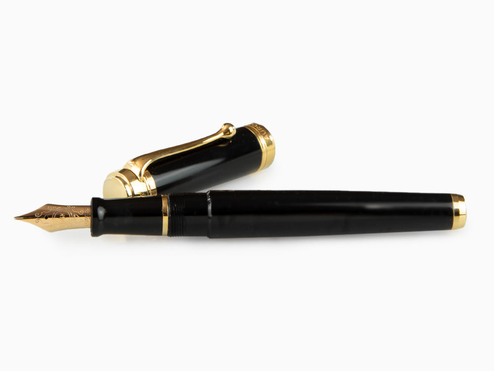 Aurora Talentum Big Fountain Pen, Resin, Gold trim, D12N