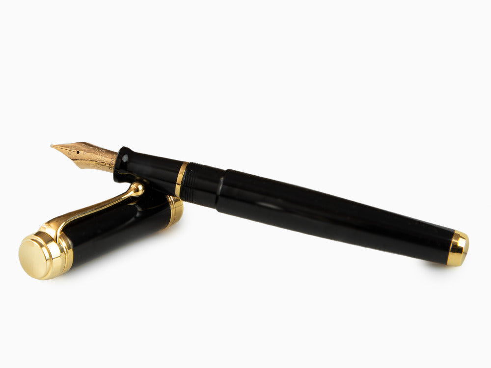 Aurora Talentum Big Fountain Pen, Resin, Gold trim, D12N