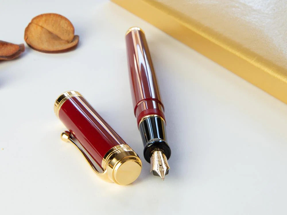 Aurora Talentum Big Fountain Pen, Resin, Gold plated, Burgundy, D12X