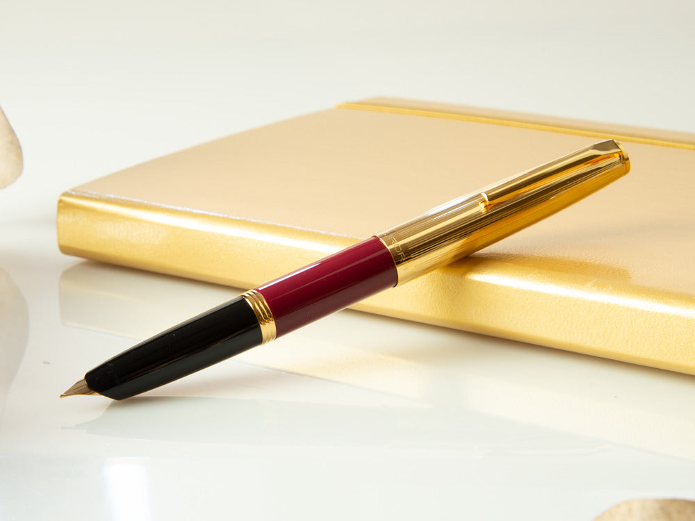 Aurora Duo-Cart Fountain Pen, Resin, Gold Trim, DC57-DXM