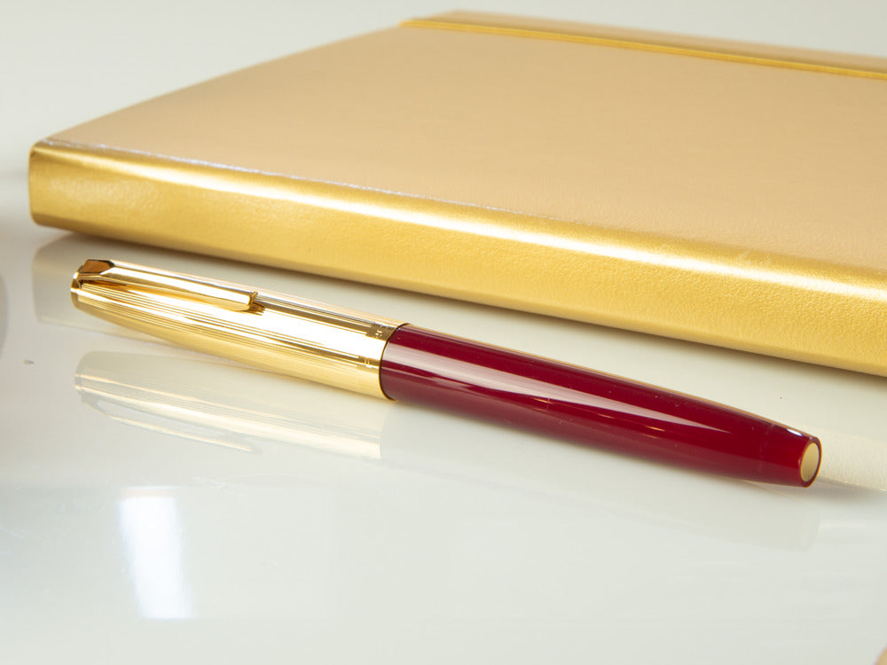 Aurora Duo-Cart Fountain Pen, Resin, Gold Trim, DC57-DXM