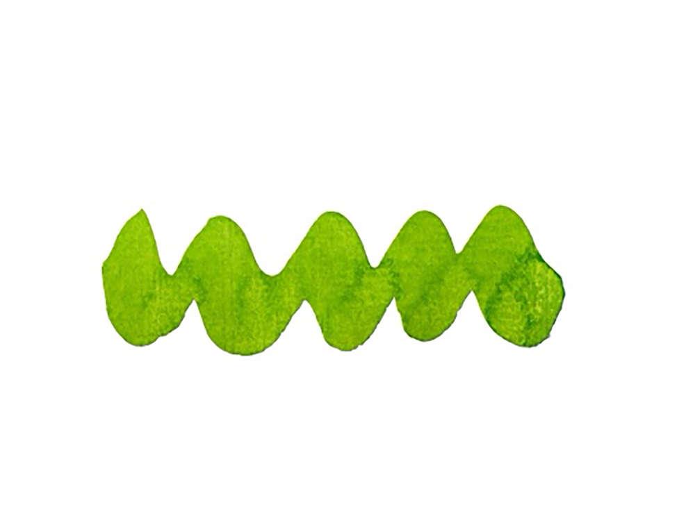 Diamine Forever Ink Collection-Permanent Pigment Ink Hyper Green, 50ml