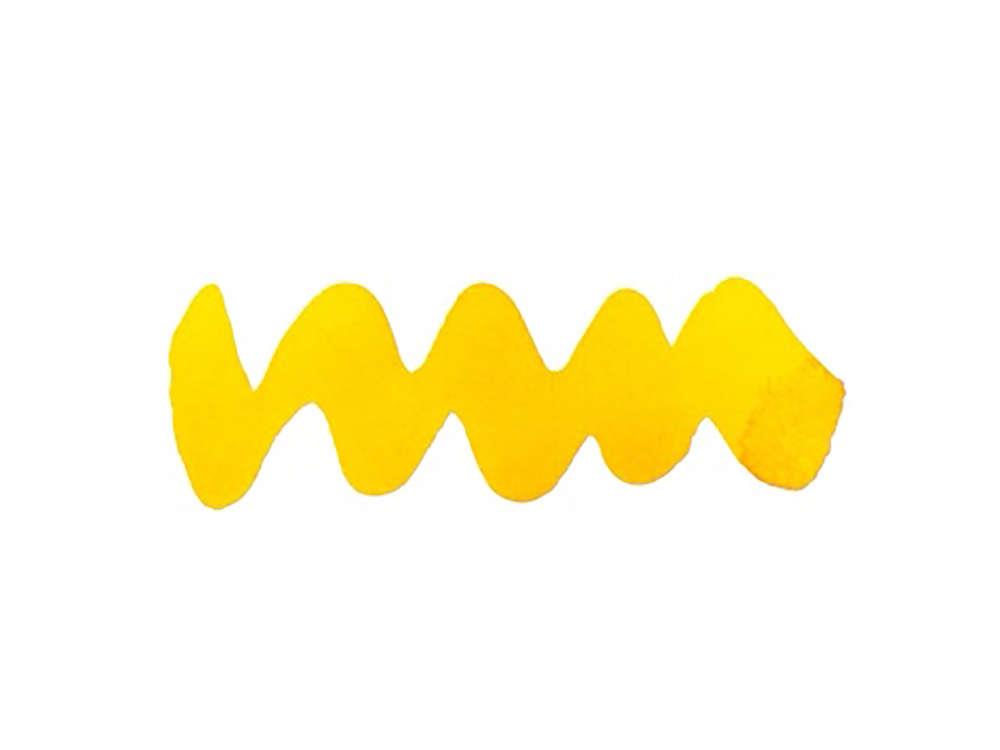 Diamine Forever Ink Collection -Permanent Pigment Ink Bottle Solar Yellow