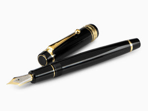 Pilot Custom 845 Fountain Pen, Ebonite, Gold trim, Black, NC845N