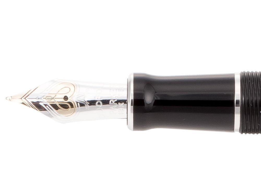 Parker Duofold Centennial Fountain Pen, Precious Resine, 1931366