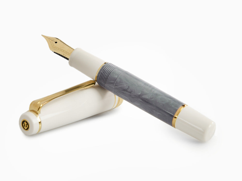 Sailor PG Slim Mini Rencontre Fountain Pen, Gris Fer, 11-2230-321