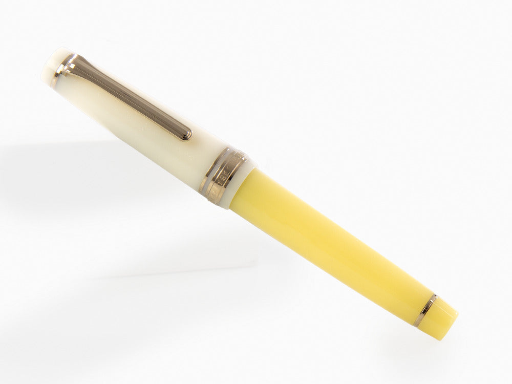 Sailor PG Smoothie Series Passion Fruit Fountain Pen, 21k, 11-4171-470