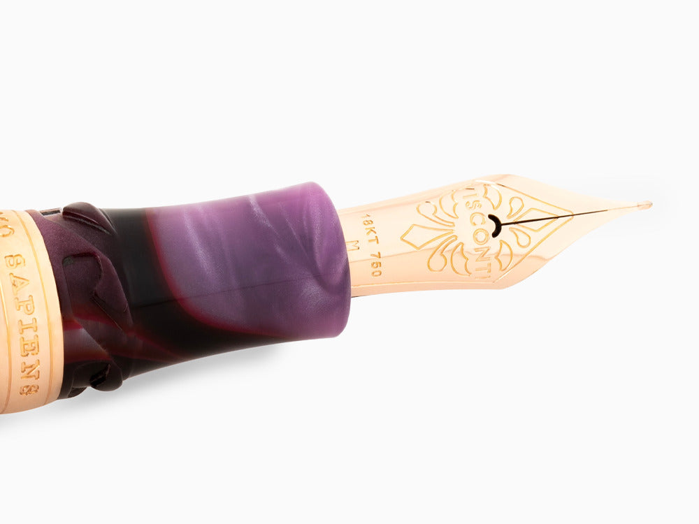 Visconti HS Iris Garden Fountain Pen, Limited Edition, KP15-41-FP