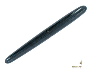 Nakaya Cigar Long Ascending Dragon I Tamesukashi Fountain Pen, Bicolor